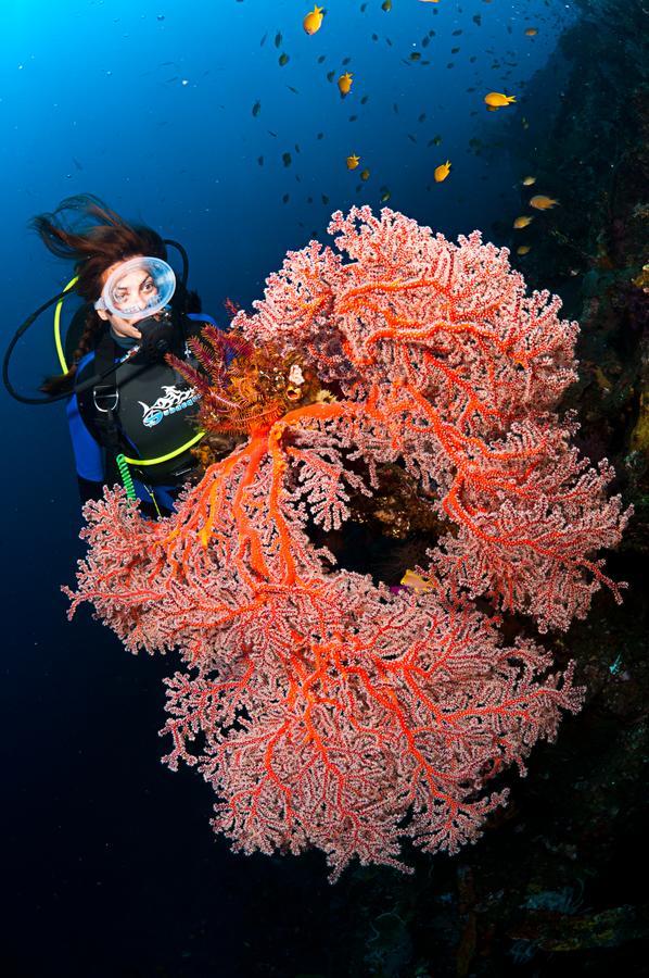 Benthos Bali Dive Resort チャンディダサ エクステリア 写真
